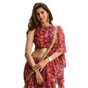 MAROON FLORAL FUSION SAREE